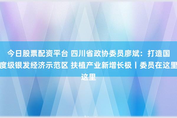 今日股票配资平台 四川省政协委员廖斌：打造国度级银发经济示范区 扶植产业新增长极丨委员在这里