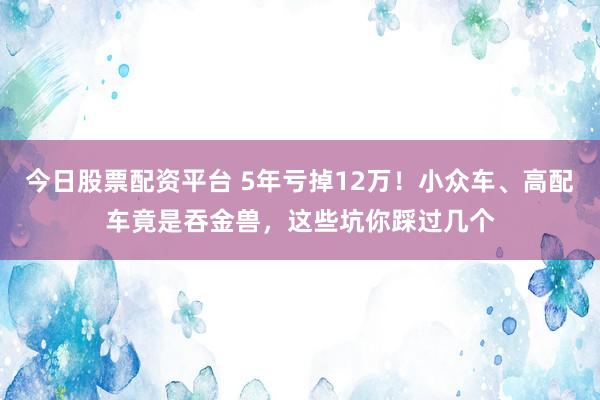 今日股票配资平台 5年亏掉12万！小众车、高配车竟是吞金兽，这些坑你踩过几个